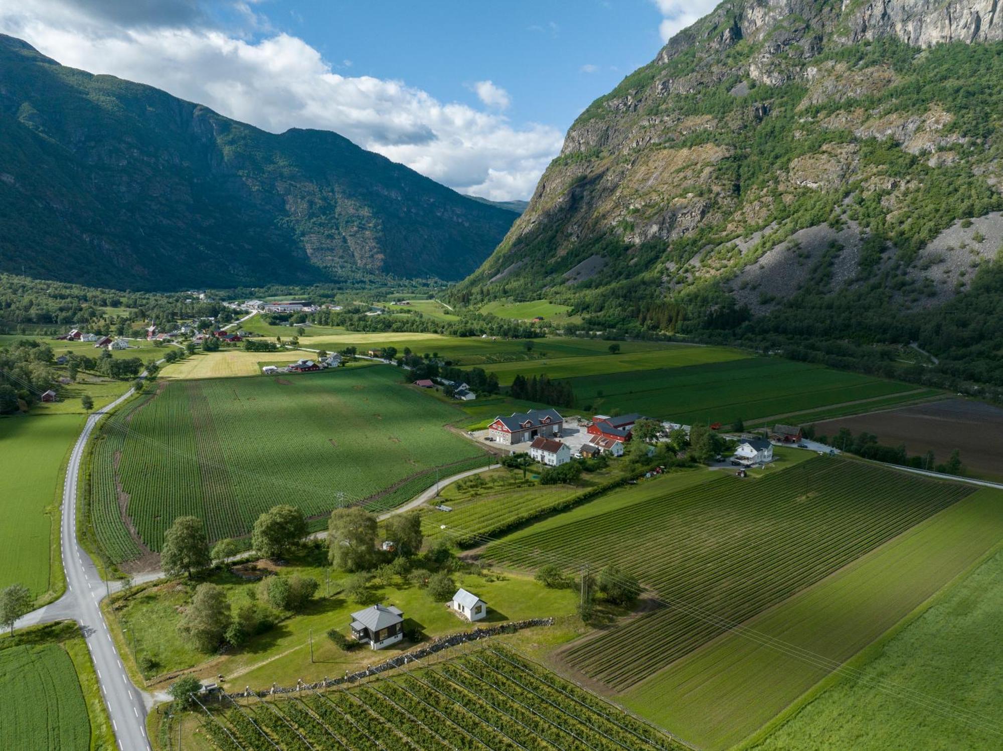Jordeplegarden Holiday Home - Part Of A Farm - Two Buildings - Close To Flam Lærdalsøyri Exteriör bild